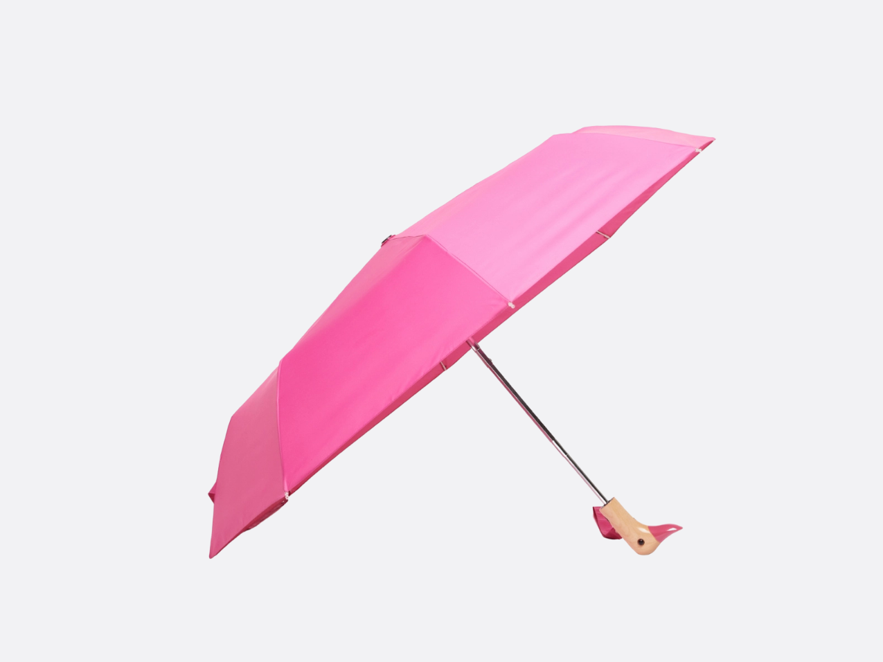 Duck Umbrella