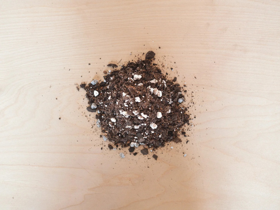 small bag of cactus soil Cactus Soil