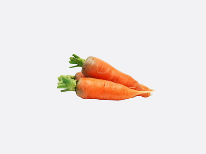Schoepp Seeds - Carrots
