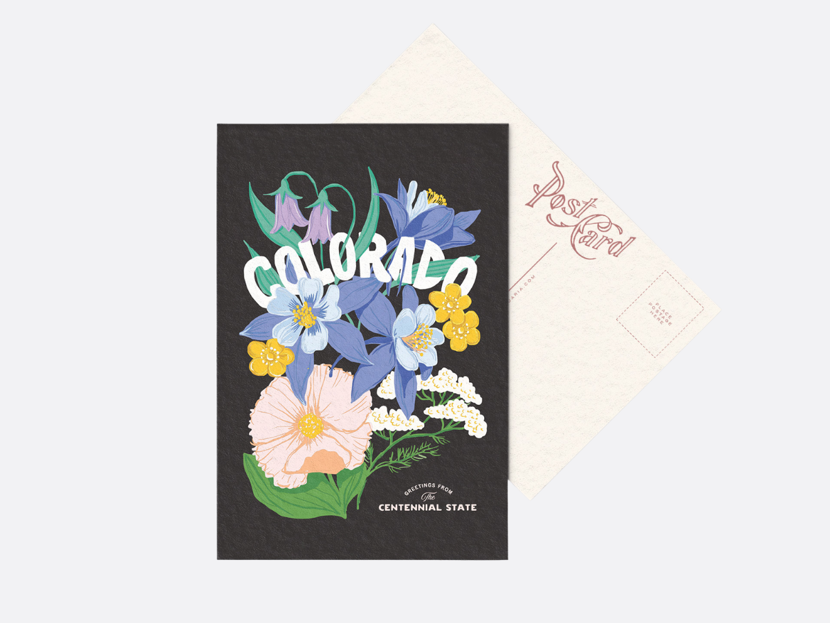 Colorado State Flower Postcard