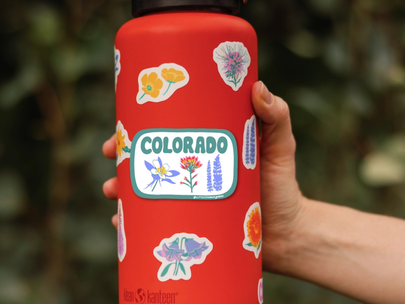Colorado Wildflower - Sticker