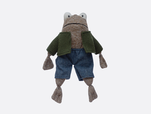 Stuffed Frog