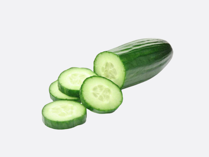 Schoepp Seeds - Cucumber