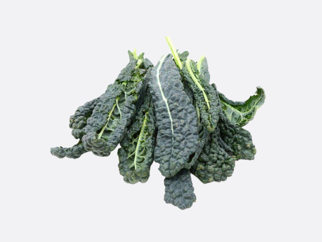 Schoepp Seeds - Kale