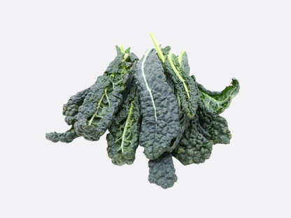 Schoepp Seeds - Kale