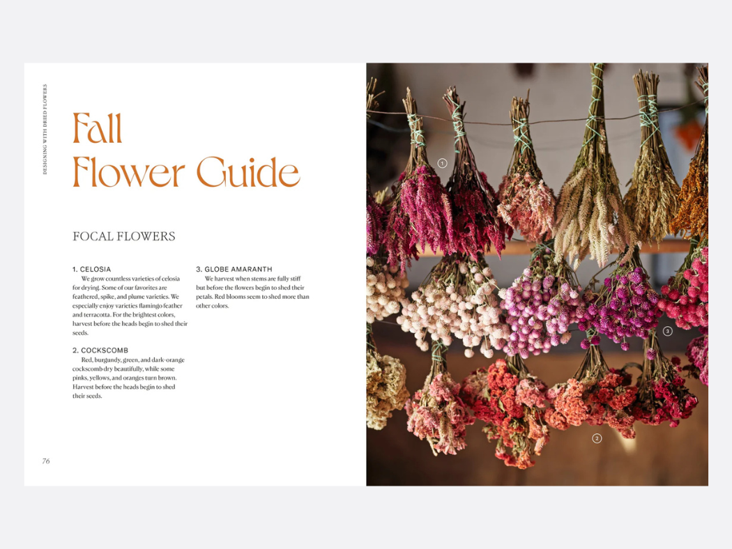 Designing with Dried Flowers