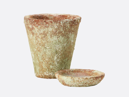 Distressed Cement Planter with Saucer