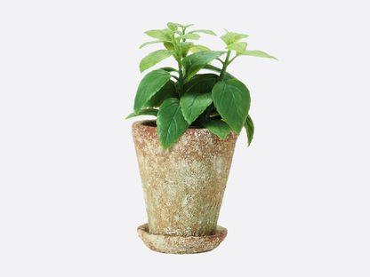 Distressed Cement Planter with Saucer