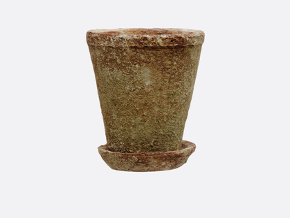 Distressed Cement Planter with Saucer