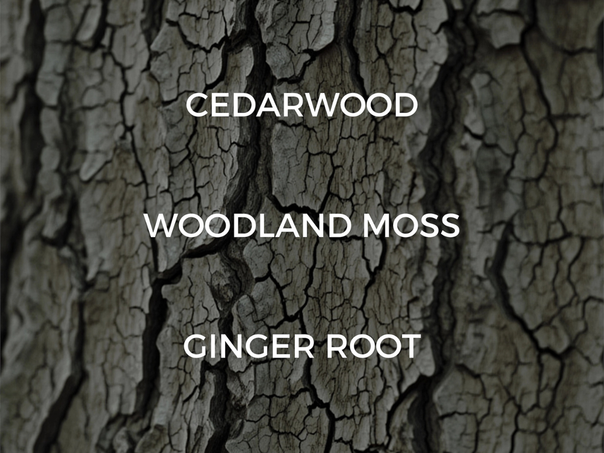 Dried Cedar + Moss Candle - 7.75oz
