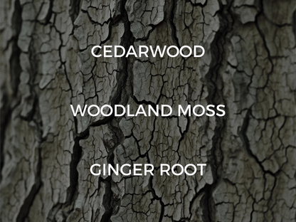 Dried Cedar + Moss Candle - 7.75oz