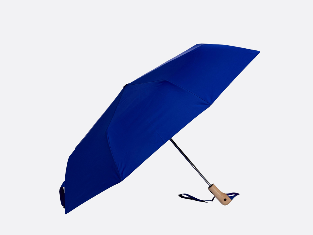 Duck Umbrella