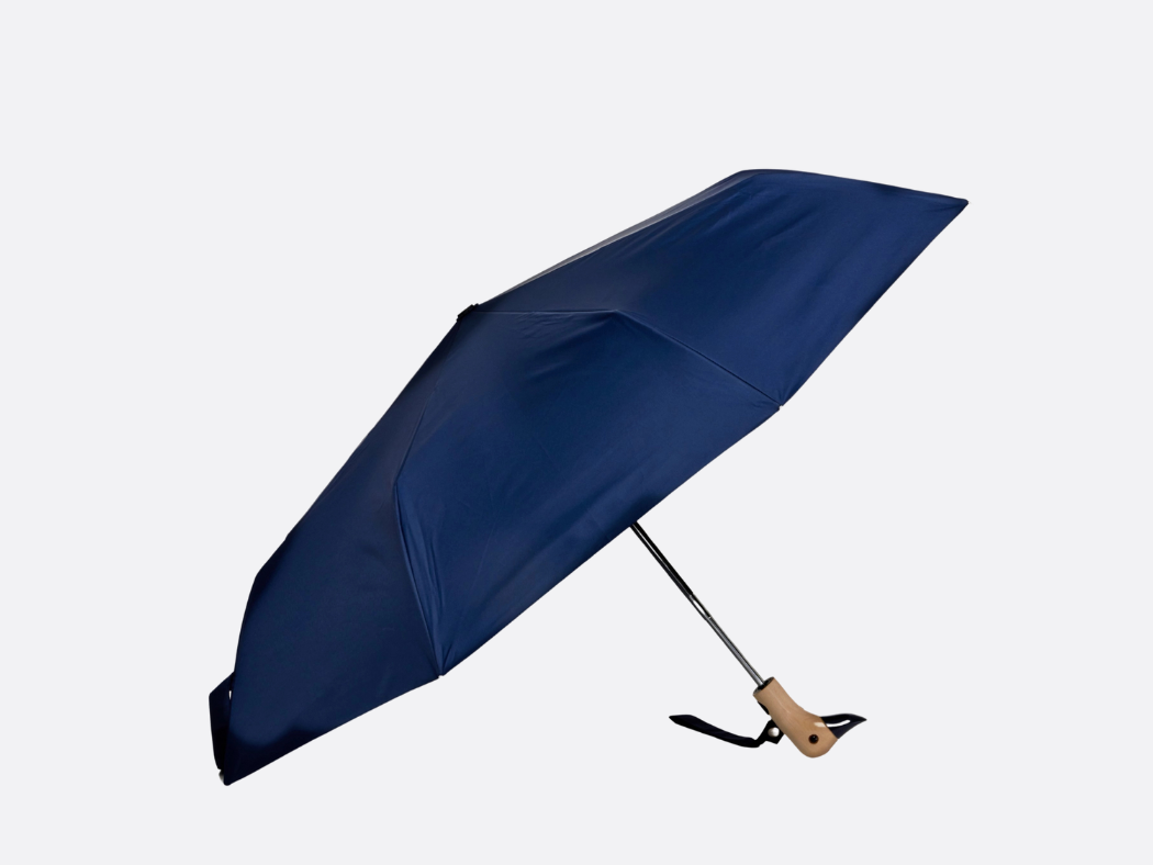 Duck Umbrella