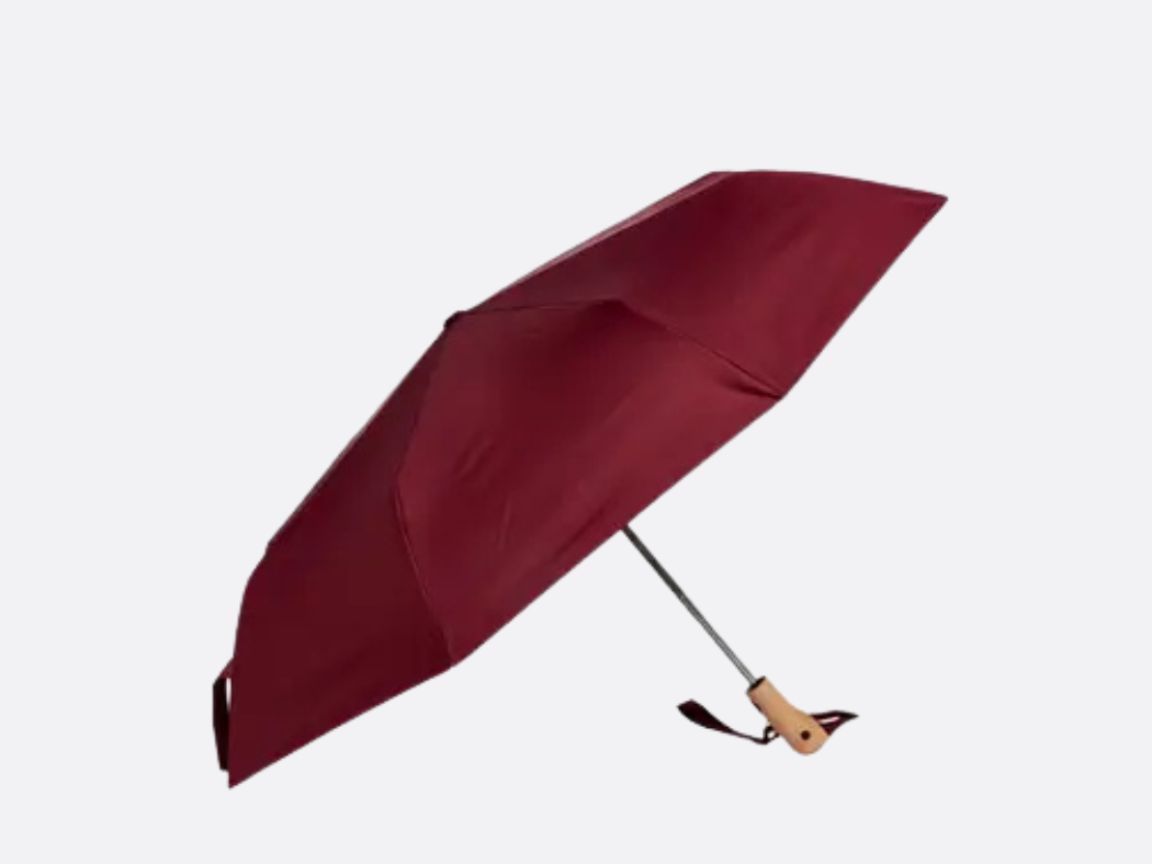 Duck Umbrella