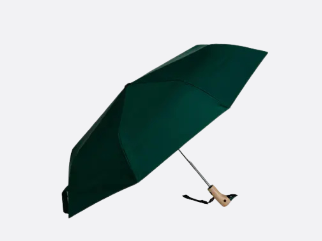 Duck Umbrella