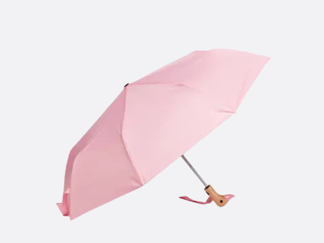 Duck Umbrella