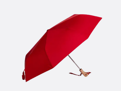 Duck Umbrella