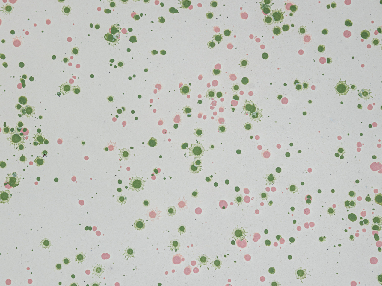 Enameled Metal Splatterware Platter