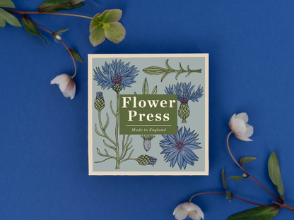Flower Press - Cornflower