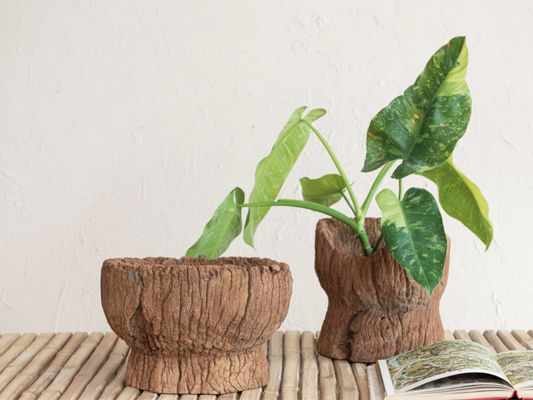 Found Carved Wood Mortar Bowl