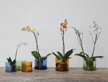 Recycled Hand-Blown Glass Pot