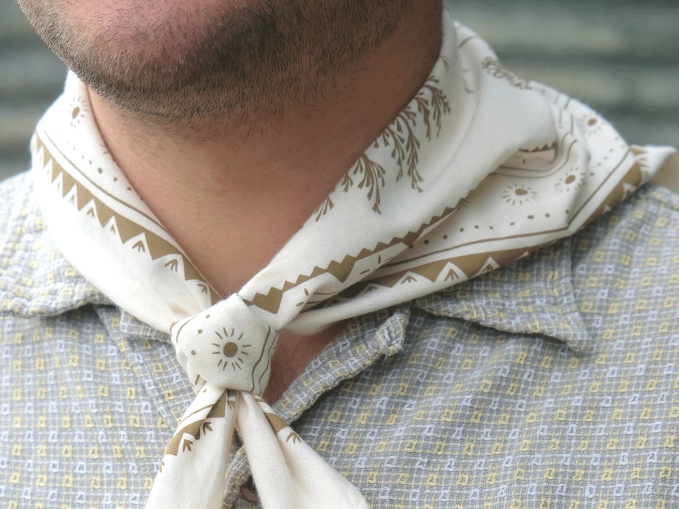 High Desert Bandana