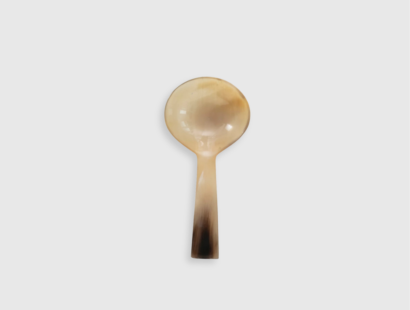 Horn Spoon