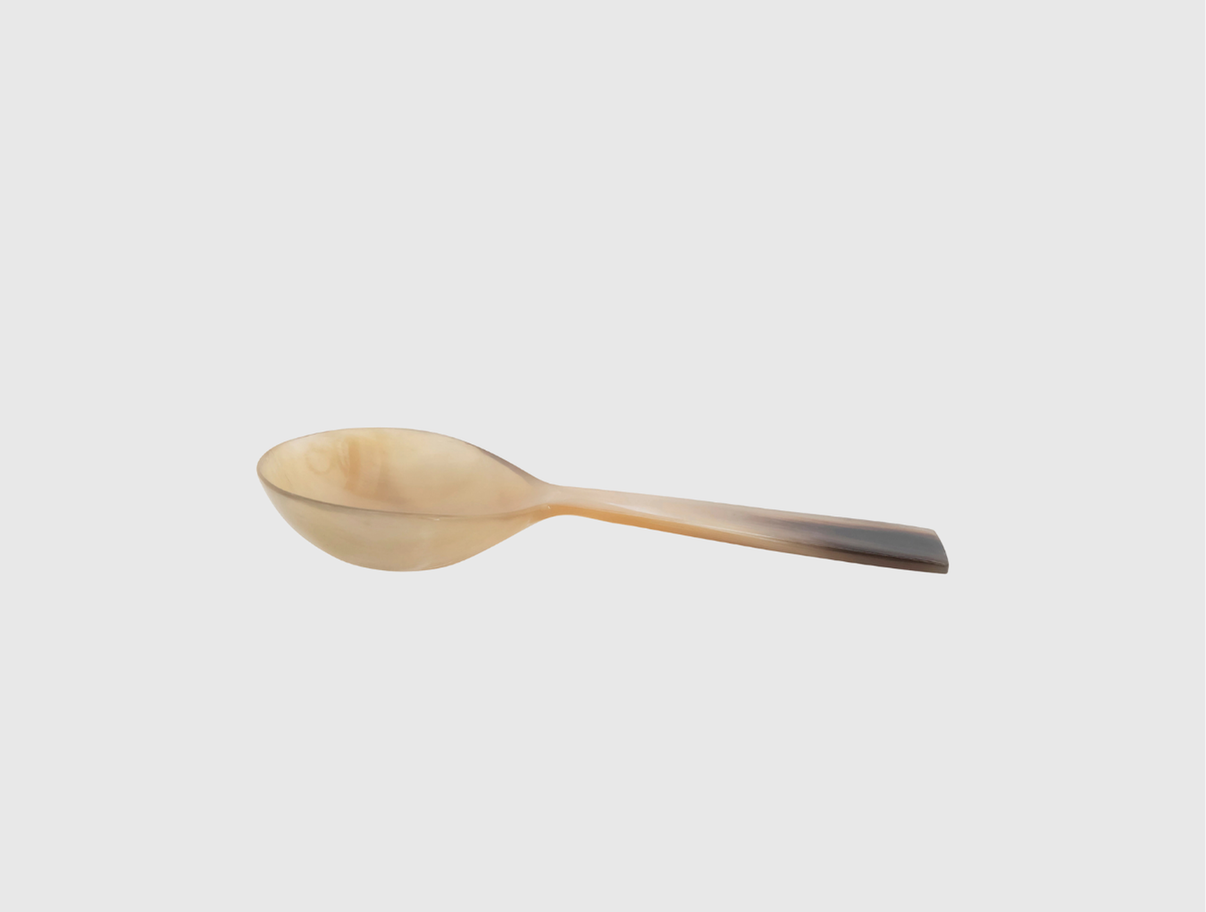 Horn Spoon