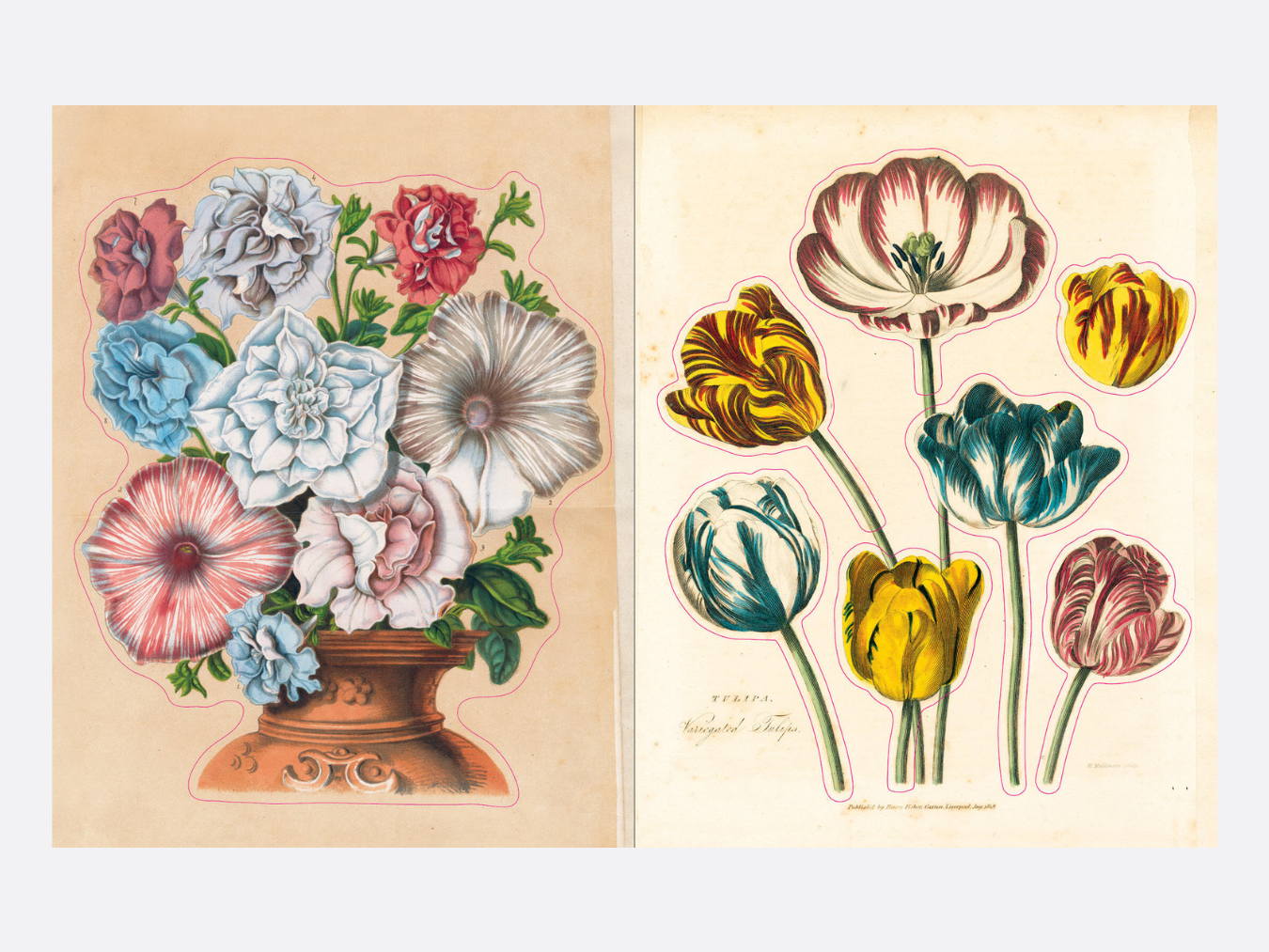 John Derian Sticker Book