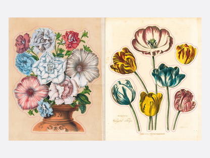 John Derian Sticker Book