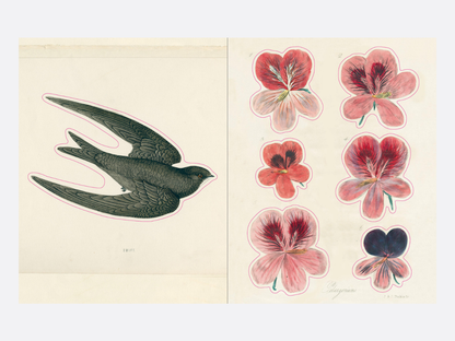 John Derian Sticker Book