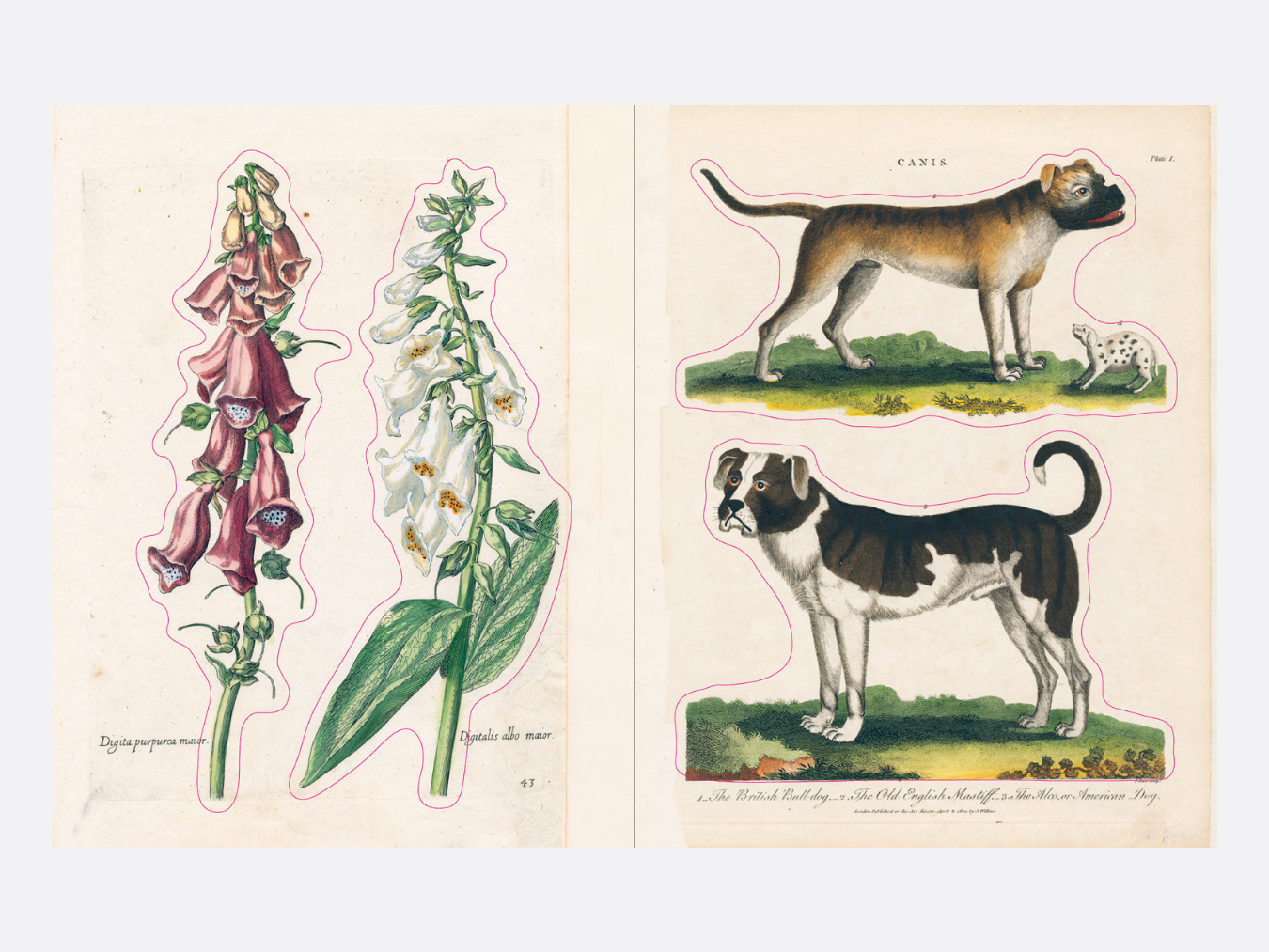 John Derian Sticker Book