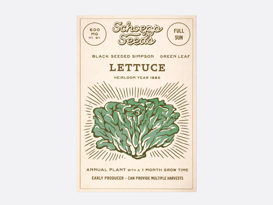 Schoepp Seeds - Lettuce