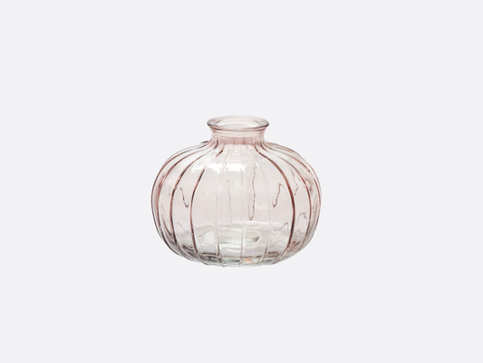 Livi Budvase