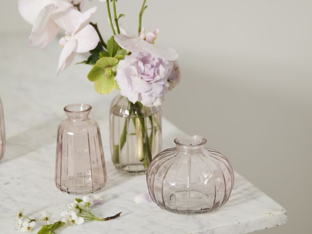 Livi Budvase