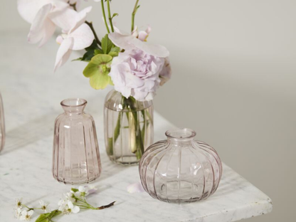 Livi Budvase