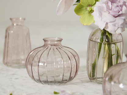 Livi Budvase