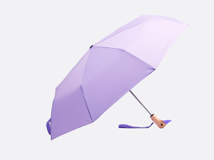 Duck Umbrella