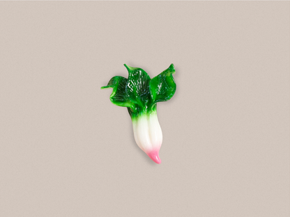 Handmade Magnet - Vegetable