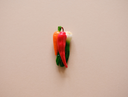 Handmade Magnet - Vegetable