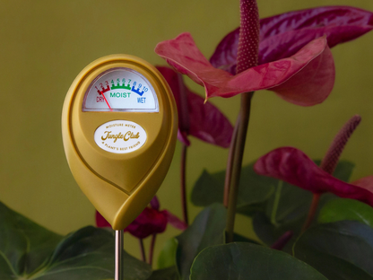 Moisture Meter - Green