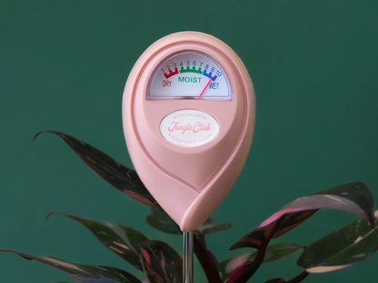 Moisture Meter - Pink