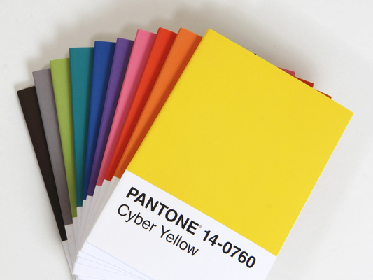 Pantone Notebooks