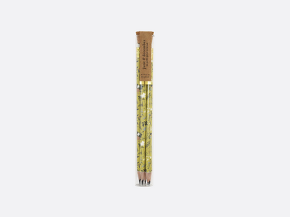 Pencil Terrarium Set