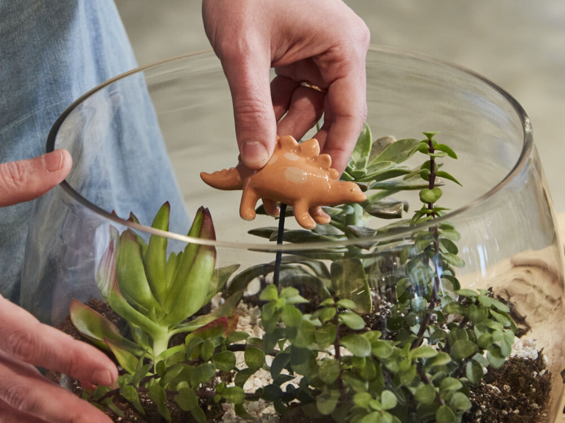 Plant Friends