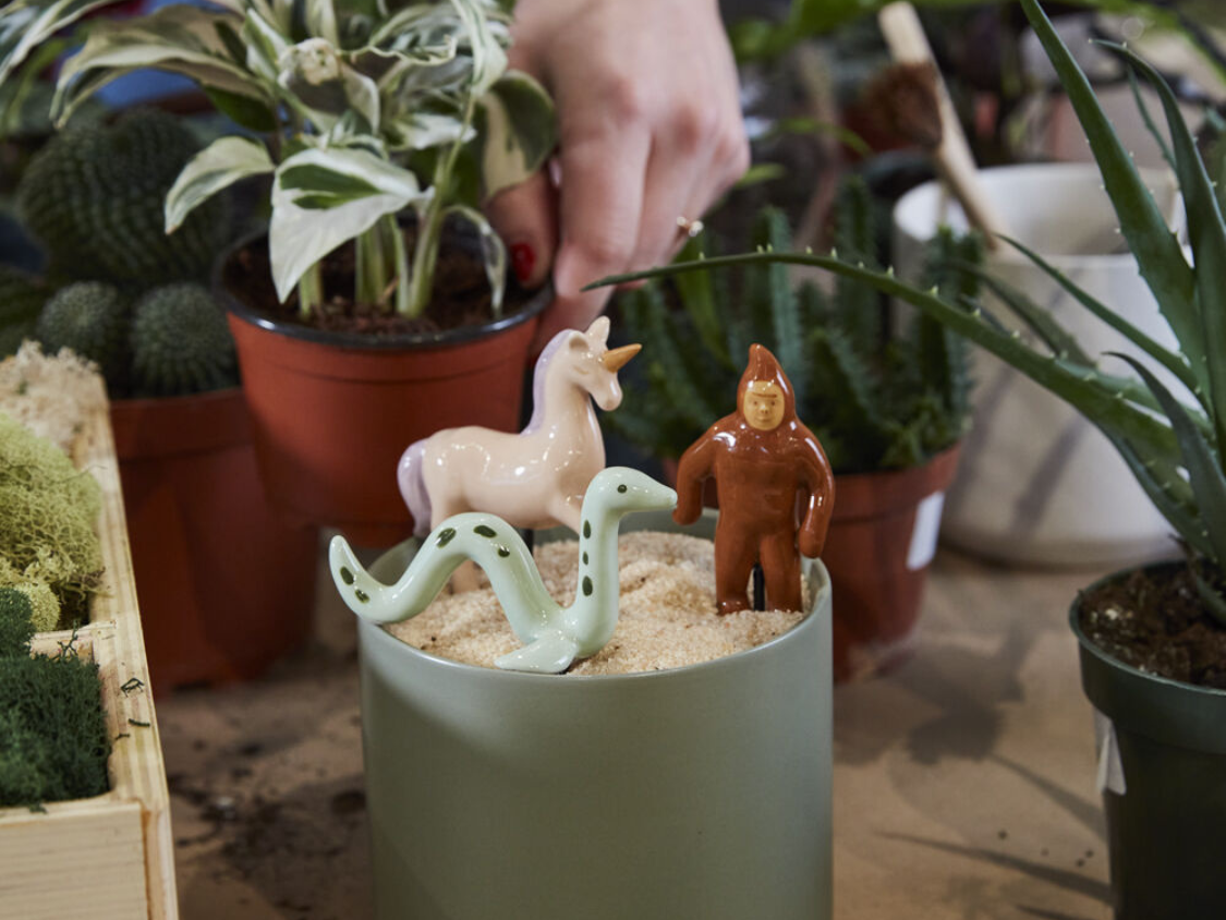 Plant Friends