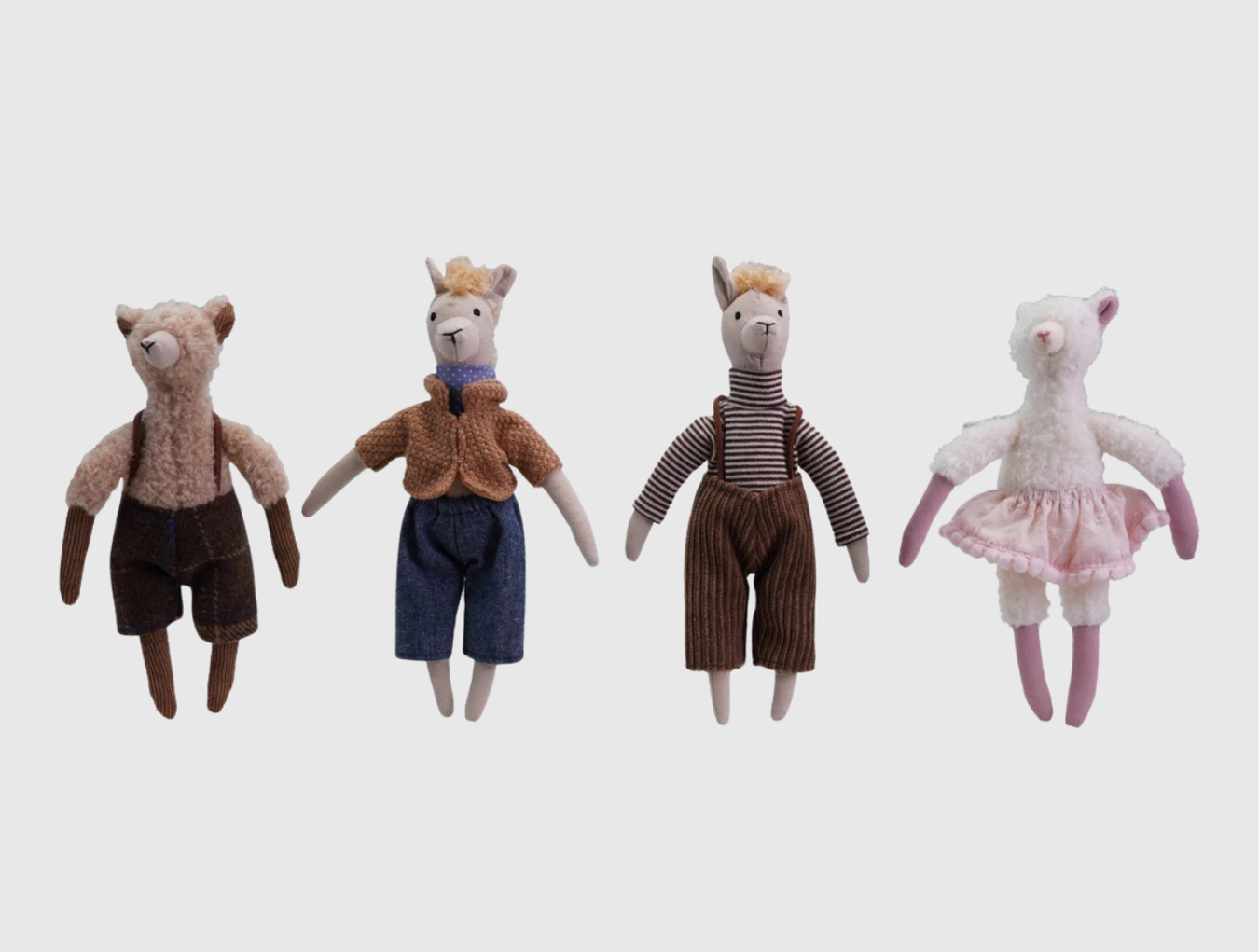 Llama in Clothes