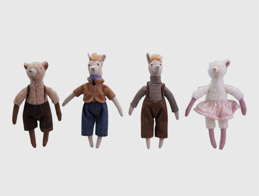Llama in Clothes