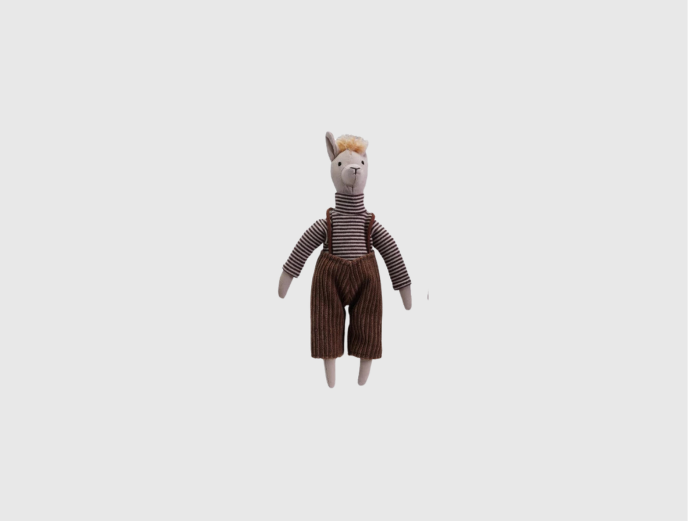 Llama in Clothes