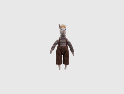 Llama in Clothes